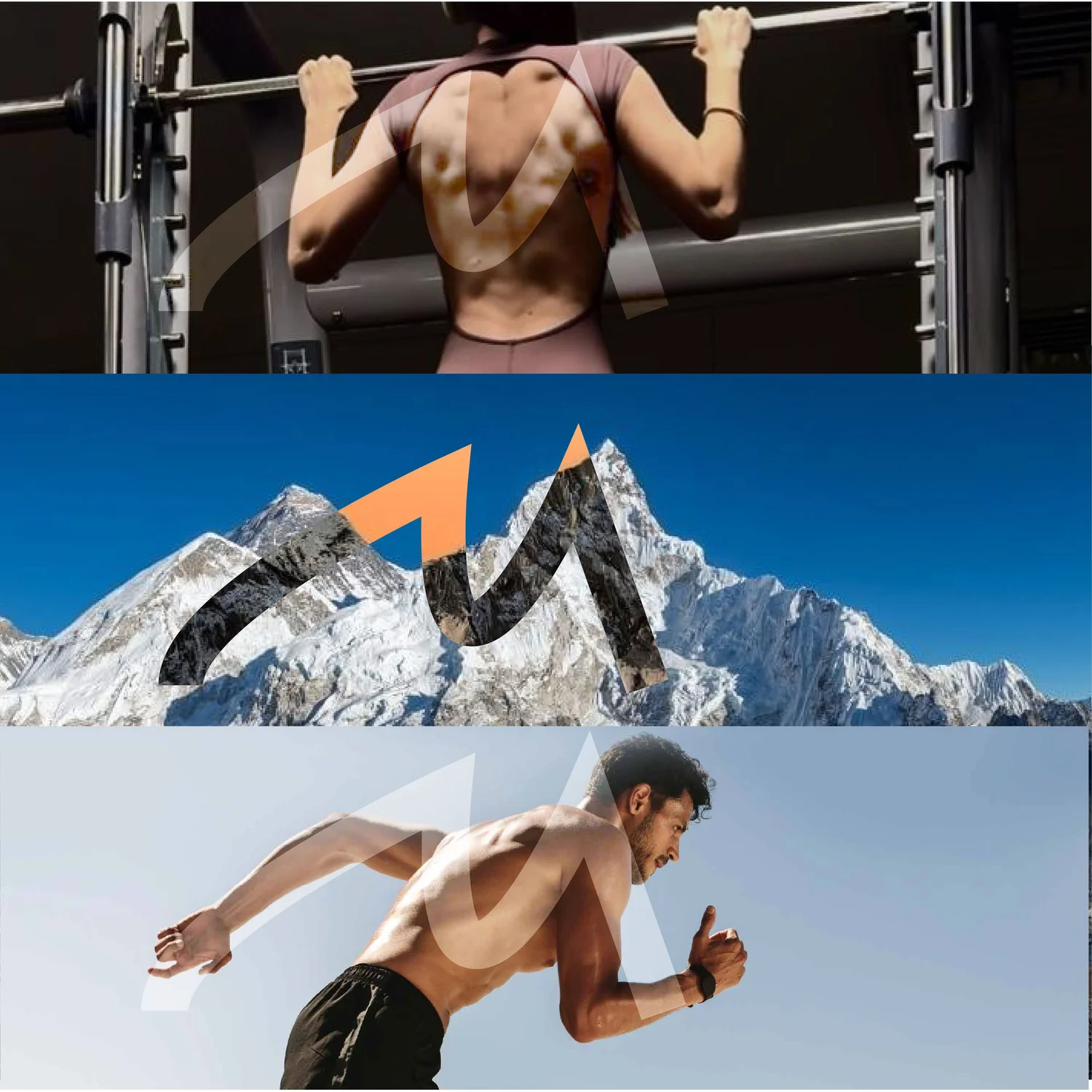 Monk Fitness work sample 19
